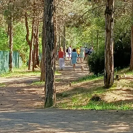 شقة Grazioso